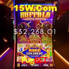 Experiência VIP Pugbet