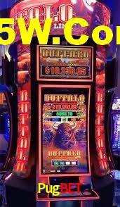 Roulette Table Pugbet